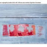 Aguonos rugiagėlių lauke