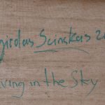 Diving in the Sky