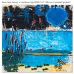 Swan lake – Dancing in the Moon light