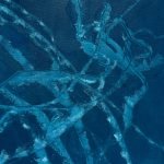 Deep blue sea