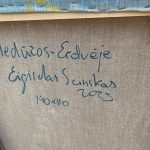 Medūzos – Erdvė