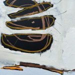 Medūzos – Kosminė kelionė