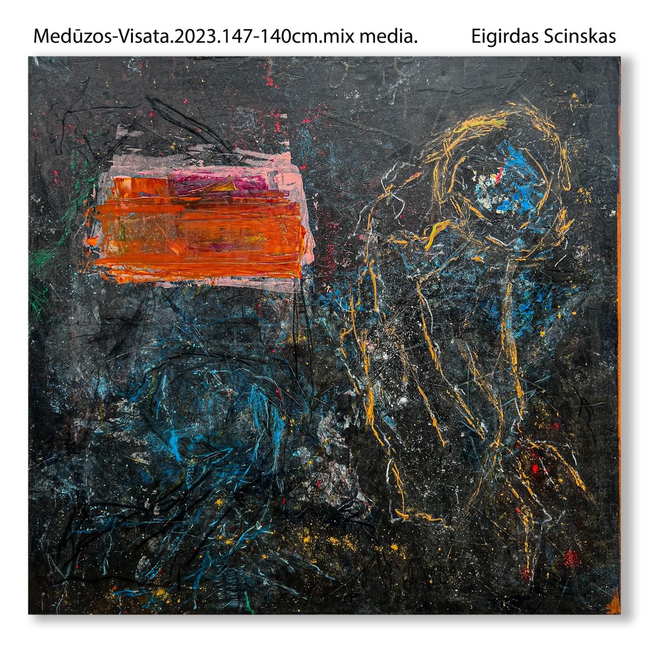 Medūzos - Visata