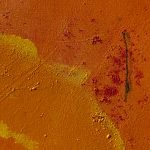 Jellyfish – Two Souls