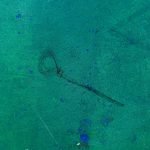 Jellyfish – Green revolution
