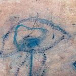 Jellyfish – Optical illusion