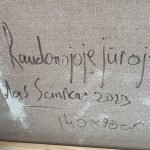 Medūzos Raudonojoje jūroje