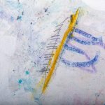 Jellyfish – on the ice