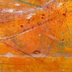 Jellyfish – Gold in the Ocean