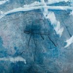 Jellyfish – Sparkling water