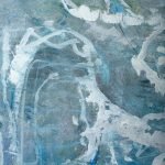 Jellyfish – Sparkling water