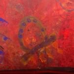 Jellyfish – Free swimming