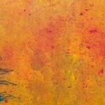 Jellyfish – Yellow Sea