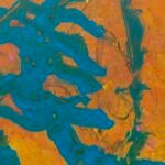 Jellyfish – Yellow Sea