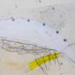 Jellyfish – A Star is born