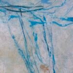 Jellyfish – Blue Diamond
