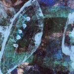 Jellyfish – Blue lagoon