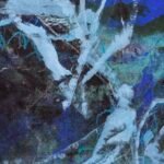 Jellyfish – Blue lagoon