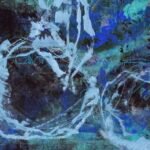 Jellyfish – Blue lagoon