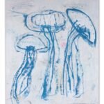 Jellyfish – Light touch