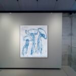 Jellyfish – Light touch