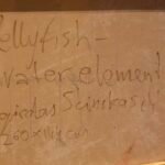 Jellyfish – Water element