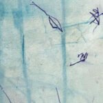 Jellyfish – Universe