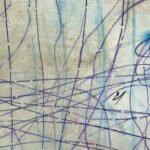 Jellyfish – Universe