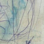 Jellyfish – Universe