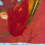 Jellyfish – Red Corals