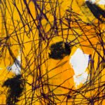 Jellyfish – Leopard
