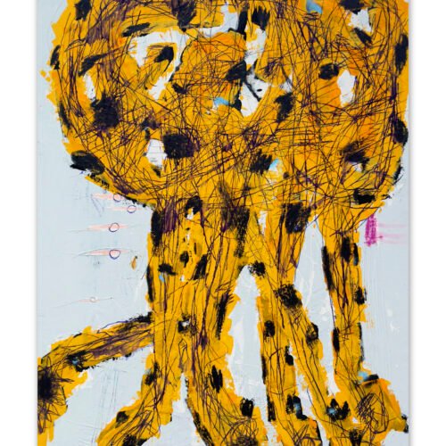 Jellyfish - Leopard