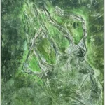 AMAZONIA
