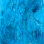 Jellyfish – Blue lagoon