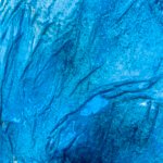 Jellyfish – Blue lagoon