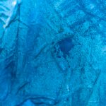 Jellyfish – Blue lagoon
