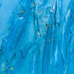 Jellyfish – Blue lagoon