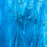 Jellyfish – Blue lagoon