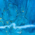 Jellyfish – Blue lagoon