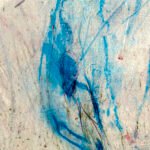 Jellyfish – Fragile