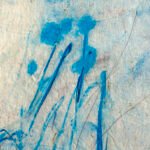 Jellyfish – Fragile