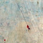 Jellyfish – Fragile