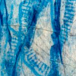 Jellyfish – Fragile
