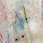Jellyfish – Fragile reflections