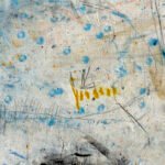 Jellyfish – Fragile reflections