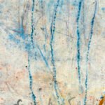Jellyfish – Fragile reflections