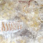 Jellyfish – Only in the light