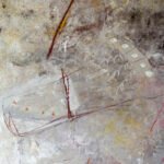 Jellyfish – Only in the light