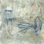 Jellyfish and Butterfly