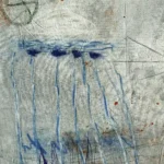 Jellyfish and Butterfly
